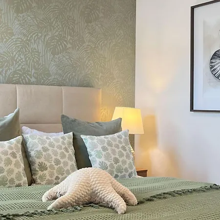Bültenzeit Born
